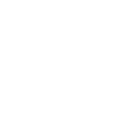 doğum günü çiçeği