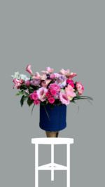 Mavi Kutulu Aranjman